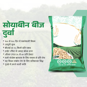 Packaging of Durga Soybean Seeds
