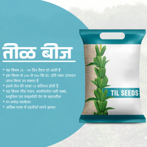 Packaging of Teekh Beej Til Seeds with product information in Hindi and English.