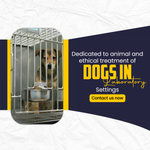 A dog in a laboratory cage with text promoting ethical animal treatment.