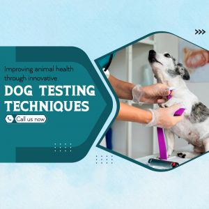 Veterinarian examining a dog with stethoscope and testing equipment