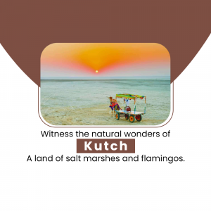 Sunset over the Rann of Kutch with a decorated cart and flamingos