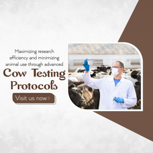 Veterinarian testing a cow with a group of cows in the background