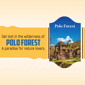 Polo Forest promotional image with text and landscape
