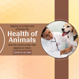 Veterinarian examining a Beagle dog with a stethoscope