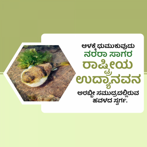 Image of a Rat Snake with Kannada text