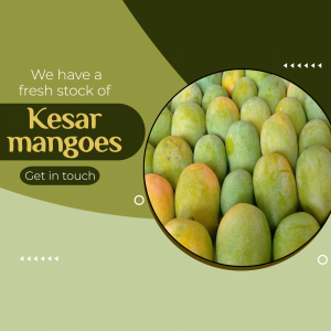 Advertisement for fresh Kesar mangoes