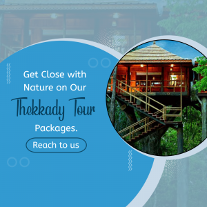Image of a treehouse in Thekkady, promoting tour packages.