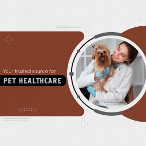 Veterinarian holding a cute dog, promoting pet healthcare.