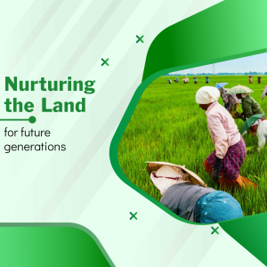 Farmers planting rice seedlings in a green paddy field