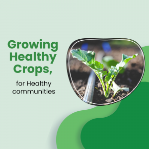 Close-up of a young plant growing in soil with text overlay 'Growing Healthy Crops, for Healthy Communities'