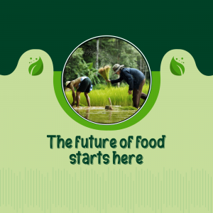 Two farmers planting rice seedlings in a flooded field