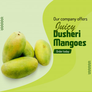 Fresh Dusheri mangoes with promotional text