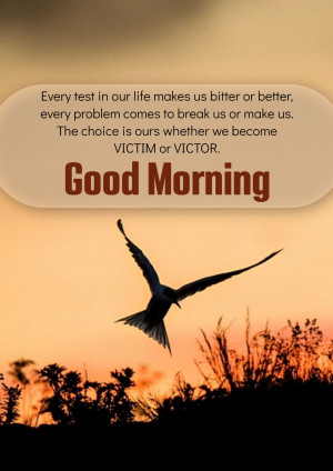 Silhouette of a bird flying over a sunset with motivational text.