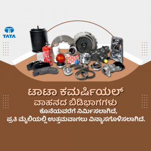 Assortment of Tata genuine auto parts and components