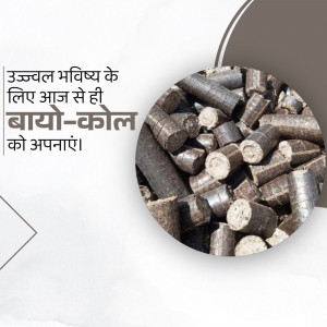 Close-up of bio-coal briquettes with Hindi text promoting adoption