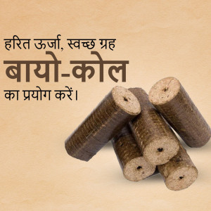 Image of bio-coal briquettes with text promoting their use for a green and clean home.