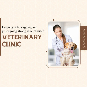 Veterinarian examining a golden retriever dog