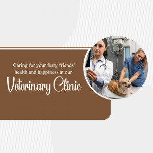 Veterinarian examining a dog with a colleague in a clinic setting.