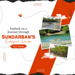 Promotional image for a journey through Sundarban's ecological wonder.