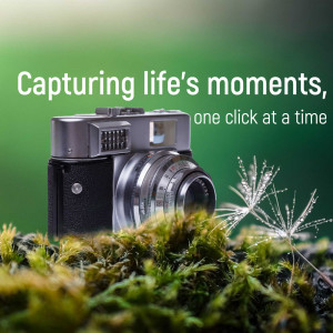 A vintage silver camera resting on green foliage with a dandelion seed head, with text 'Capturing life's moments, one click at a time'.