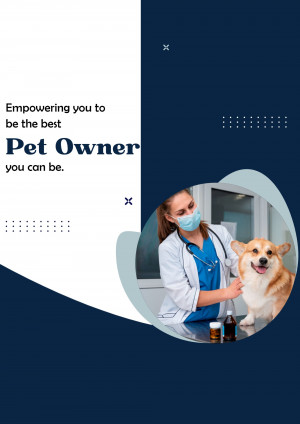 Veterinarian examining a cute corgi dog in a clinic.