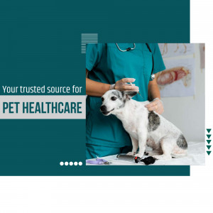 Veterinarian giving a dog an injection