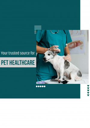 Veterinarian examining a dog in a clinic