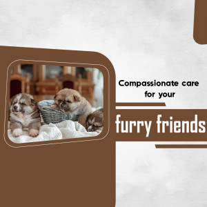 Image of adorable puppies with text promoting compassionate pet care.