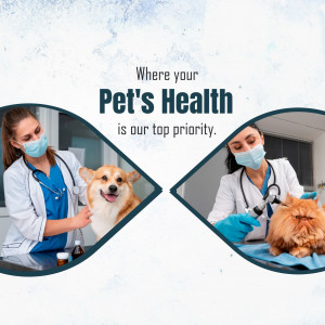 Veterinarians examining a dog and a cat
