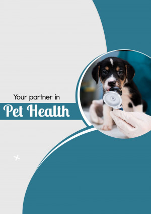 Veterinarian examining a cute puppy with a stethoscope