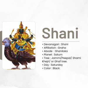 Image of Shani Dev, the Hindu God of Justice, riding his mount, a crow.