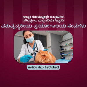 A veterinarian in a white coat examining a fluffy orange cat with a stethoscope.