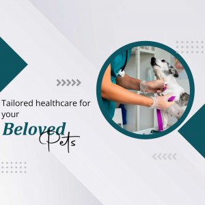 Veterinarian examining a dog with a stethoscope