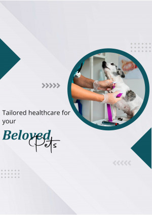 Veterinarian examining a dog with care and attention.