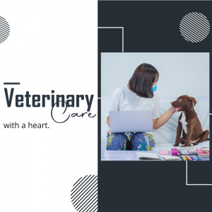 Woman using laptop with a dog, veterinary care concept