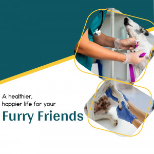 Veterinarian examining a dog and cat