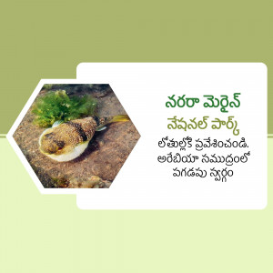 Close-up of a pufferfish resting on rocks with green foliage, with Telugu text overlay.