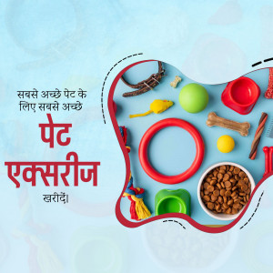 Colorful assortment of pet accessories including toys, bowls, and food.