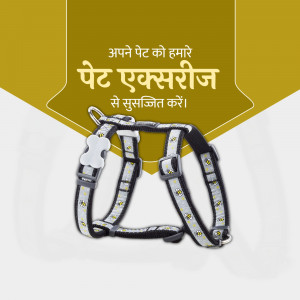 A white and grey dog harness with bone-shaped details, displayed against a golden yellow background with Hindi text.