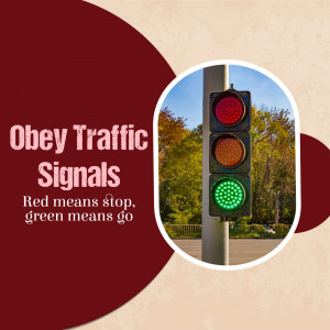 Image of a traffic light showing red, yellow, and green lights with text 'Obey Traffic Signals'