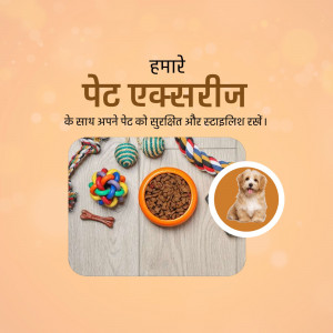 Pet accessories including food, toys, and a cute puppy in a circle.