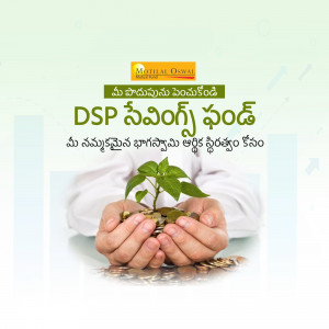 Image depicting hands holding coins with a growing plant, representing investment and growth with DSP Savings Fund.