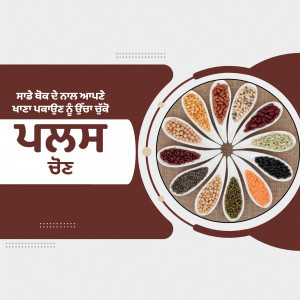 A colorful arrangement of various pulses and legumes in a circular display with text in Punjabi.