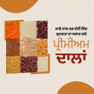Assortment of colorful lentils, beans, and grains arranged in a grid pattern with text in Punjabi.