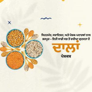 A colorful arrangement of different types of pulses and lentils with text in Punjabi.