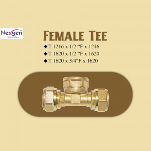 Brass Female Tee Fitting - Nexgen