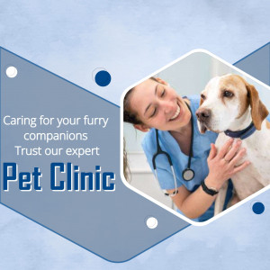 Veterinarian examining a dog at a pet clinic