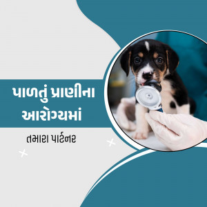 A veterinarian examining a cute puppy with a stethoscope.