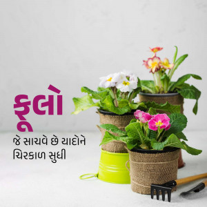 Close-up of vibrant flowers in rustic pots with gardening tools