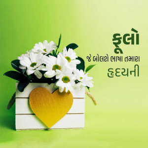 White daisies in a wooden heart-shaped box with Gujarati text